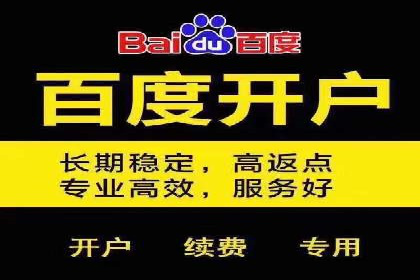 百度竞价广告的关键词策略与优化——以某行业为例